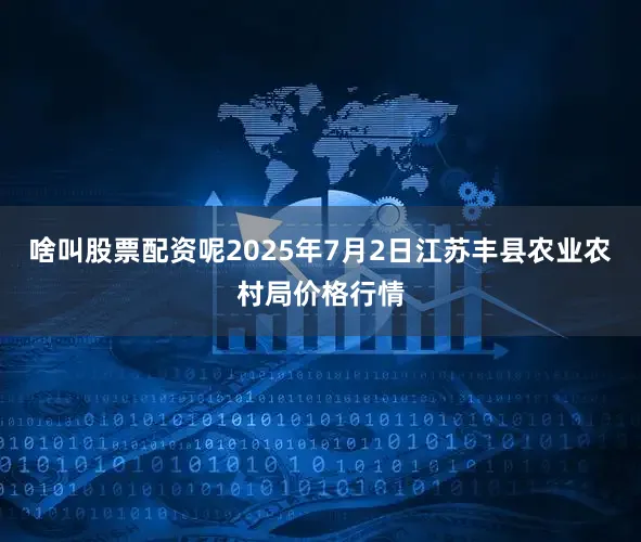 啥叫股票配资呢2025年7月2日江苏丰县农业农村局价格行情